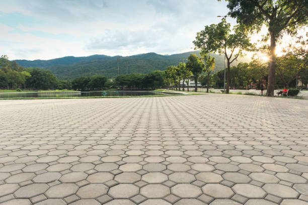 Best Permeable Paver Driveway  in Pulaski, TN